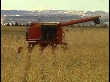Agricultural Business - A Quick Introduction