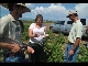 Agricultural Extension Education - A Quick Introduction