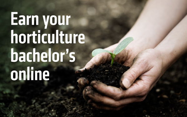Earn your horticulture bachelor’s online