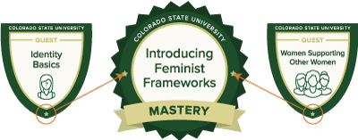 Feminist Frameworks Online Training from CSU
