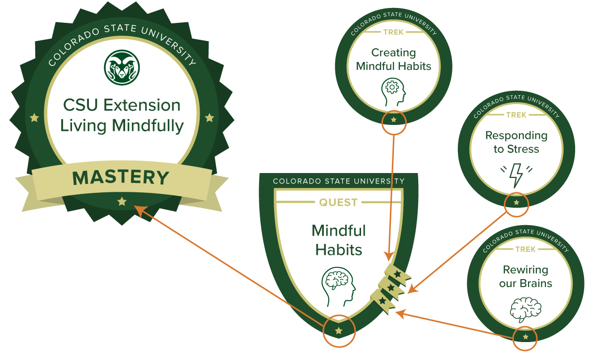 Mindfulness Training Online from CSU