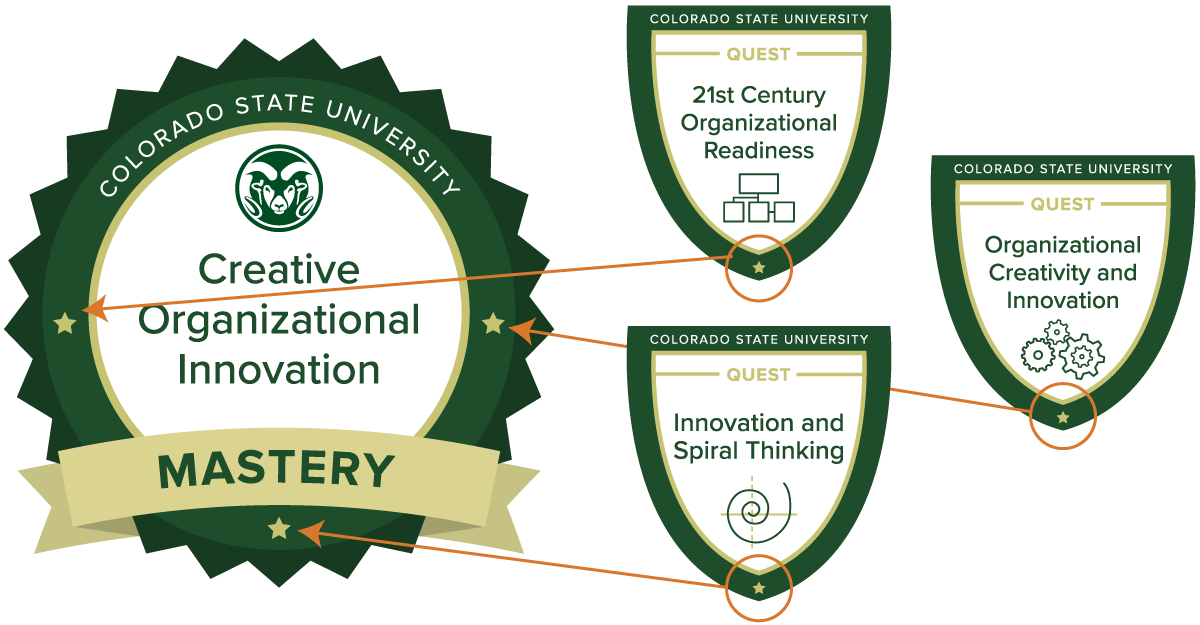 Organizational Innovation Training Online from CSU